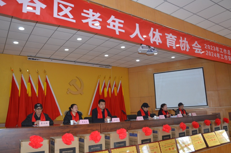 领导在台上，会议正在进行.JPG